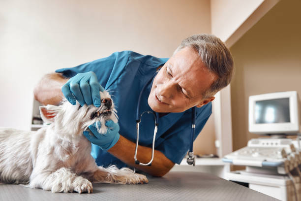 Best Tooth Pain Emergency Relief  in La Conner, WA